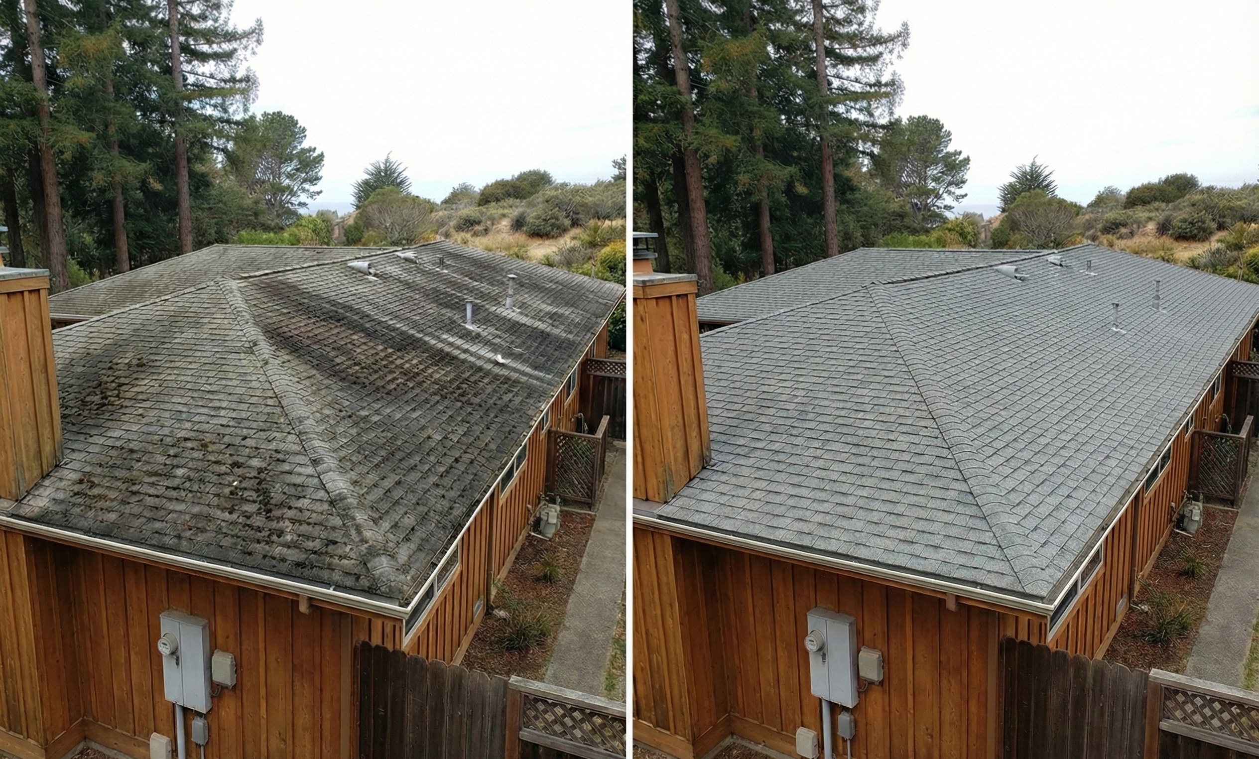 Soft wash roof cleaning service in Santa Cruz County - moss and algae removal